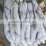 Real Fox Material And Fox Type Fox Skin thumbnail-1