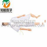 BIX/BLS800 Multifunctional First Aid Training Simulation thumbnail-1