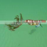 Quality Products Japanese Squid Jig Japanese Squid Jig thumbnail-2