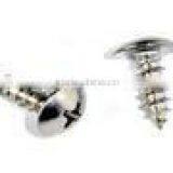 Phillips Truss Head Self Tapping Screw thumbnail-3