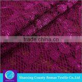 Textile fabrics supplier Latest design Fashion Knitted dyed nylon lace fabric