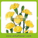 Fragrant Aroma Newest Mini Fresh Cut Carnation in China 2015 thumbnail-5