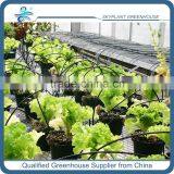 Greenhouse Drip Irrigation System for Plant Pot Quality Choice thumbnail-1