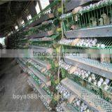 Wire Mesh Cage Quail Cages for Poultry Farm thumbnail-1