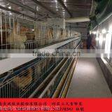 Full Automatic Welded Wire Mesh Chicken Breeder Cages thumbnail-4