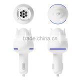 Custom Eliminate Secondhand Smoke and Fresh Air Freshener for Car thumbnail-4