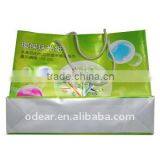 Iridescent Paper Bag