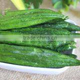 we Are Supply VF Snacks, VF Dried Okra Crisp With Good Quality for Sale thumbnail-4