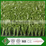 Volleyball Grass thumbnail-5