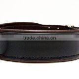 Customized Wholesale Quick Release Dog Collar