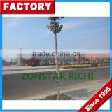 About Our Factory _ Henan Zongstar Richi Machinery _ Production Feed Pellet Machinery thumbnail-2