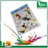 OEM China Manufacturer Custom Made Carton Pvc Sticker