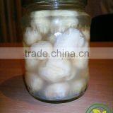 Innala / Country / Native / Chinese Potato in Brine