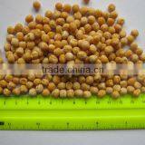 Yellow Split/whole Peas Polished thumbnail-1