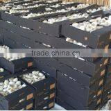 Newest crop best price high quality fresh normal white garlic fromegypt