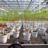 Drip Irrigation Systems Garden Automatic Watering System thumbnail-3