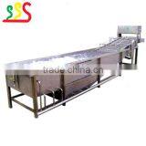 Export Hot Bubble Type Vegetable and Fruit Cleaning Machine High Capacity Washing Machine