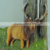 Yellowstone National Park Photo Frame thumbnail-5