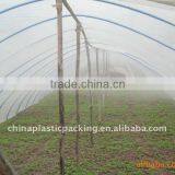 UV Agricultural Greenhouse Plastic Mulch Film thumbnail-4