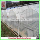 China Multi/single Span Plastic Film Greenhouse Agriculture for Sale thumbnail-3