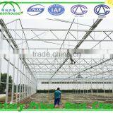 Glass Greenhouse Building Sale thumbnail-6
