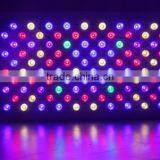 Lightess Led Lights Grow Light 1000w Double Chips Growing Lighting Full Specturm for Greenhouse and Indoor Plant Flowering thumbnail-5