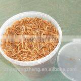 Frozen Food From Chinese Mill 28mm Dried Mealworms For Bird Food thumbnail-3