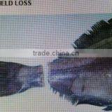 Hgt Greenland Halibut thumbnail-2