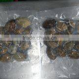 Frozen Shellfish Sea Shells Yellow Clam and Frozen Cooked Clam Meat thumbnail-2