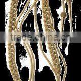 LANYARDS & AIGULITTES