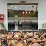 Cocovina Inc.,ltd company overview - view 3 thumbnail