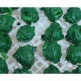 Frozen Spinach thumbnail-1