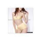 One Piece Bra and Panty Set (Ultrasonic Finishing)