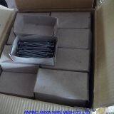 Roofing Nail Stainless Steel Nails