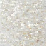 Manufacture for Seashell Mosaic Tiles Natural Color MSW1009