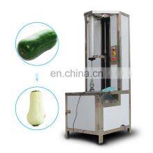 Automatic Electric Pumpkin Peeler and Peeling Machine