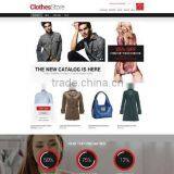 Affordable Website Development thumbnail-4