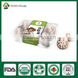 Black Chinese Mushrooms,Shitake Mushrooms Health Benefits,Growing Shitake Mushrooms thumbnail-1