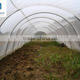 HDPE Transparent Agriculture Anti Insect Net/insect Screen, Greenhouse Insect Net thumbnail-3