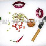 Mini LDPE Plastic Cutting Board