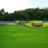 Artificial Lawn Grass Landscaping With Low Cost thumbnail-3