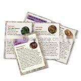 Dino Egg Dig Kits Dinosaur Baby Model thumbnail-2