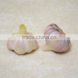 2016 Fresh Garlic Supplier thumbnail-3