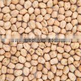 Protein Chickpeas Wholesaler thumbnail-4