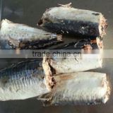 canned mackerel in natural juice with salt added
