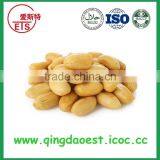 Delicious Blanched Peanut With High Quality From China thumbnail-4