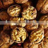 Organic Walnuts in Shell thumbnail-2