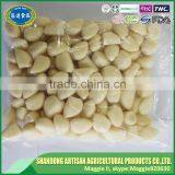 China IQF Peeled Garlic thumbnail-3