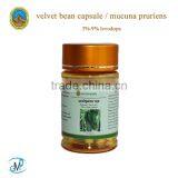 Mucuna Velvet Bean Capsule Harder Bigger 3%-9% Levodopa thumbnail-1