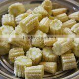 Fresh Baby Corn Cut From Vietnam thumbnail-2